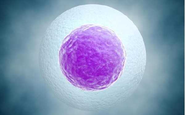 无锡用供卵怀孕步骤 2023年无锡三代试管包生孩子