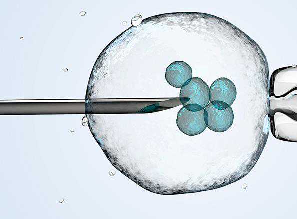无锡代孕发展 无锡可开展试管的医院 ‘二十二周男宝b超图’